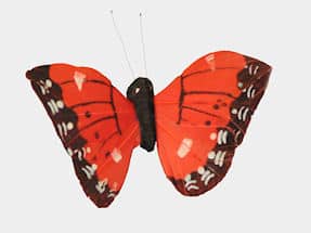 papillon sommerfugl